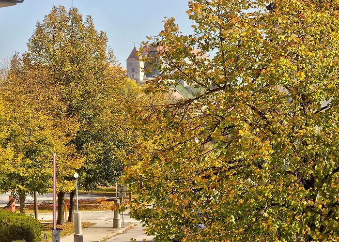 Matija Terme * Πτούι